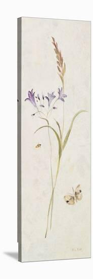 Wild Wallflowers III Panel-Cheri Blum-Stretched Canvas