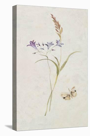 Wild Wallflowers III-Cheri Blum-Stretched Canvas