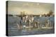 Wild White Horses, Camargue, France, Europe-Janette Hill-Premier Image Canvas