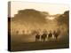 Wildebeest Migration, Tanzania-Charles Sleicher-Premier Image Canvas