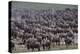 Wildebeest-DLILLC-Premier Image Canvas