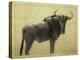 Wildebeest-James W. Johnson-Premier Image Canvas