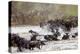 Wildebeests are Crossing Mara River. Great Migration. Kenya. Tanzania. Masai Mara National Park. An-GUDKOV ANDREY-Premier Image Canvas