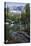 Wilderness Family-Jeff Tift-Premier Image Canvas