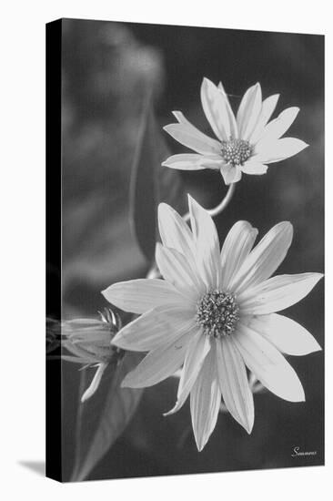 Wildflower 1-Gordon Semmens-Premier Image Canvas