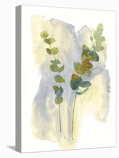 Wildflower Duet-Tania Bello-Stretched Canvas