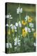 Wildflower Field-Anna Miller-Premier Image Canvas