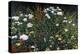 Wildflower Garden-Kevin Dodds-Premier Image Canvas