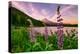 Wildflower Lake, Trillium Lake and Lupine, Mount Hood Wilderness, Oregon-Vincent James-Premier Image Canvas