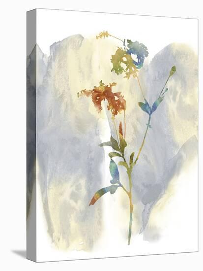 Wildflower Lullaby-Tania Bello-Stretched Canvas