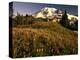 Wildflower Meadow Below Mount Rainier-Stuart Westmorland-Premier Image Canvas