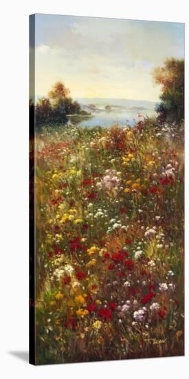 Wildflower Meadow I-Arcobaleno-Stretched Canvas