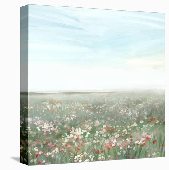Wildflower Meadow II-Isabelle Z-Stretched Canvas
