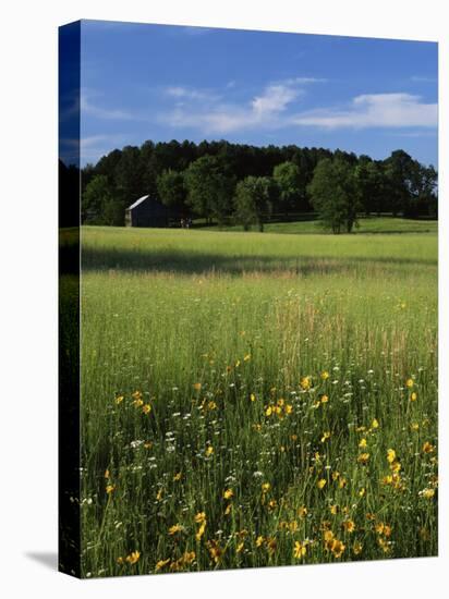 Wildflower meadow, Montgomery County, Missouri, USA-Charles Gurche-Premier Image Canvas