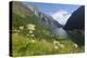 Wildflower Meadow Overlooking Naeroyfjorden, Sogn Og Fjordane, UNESCO World Heritage Site, Norway-Gary Cook-Premier Image Canvas