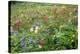 Wildflower Meadow-Bob Gibbons-Premier Image Canvas