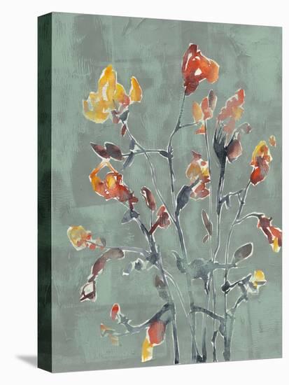 Wildflower Watercolors I-Jennifer Goldberger-Stretched Canvas