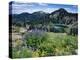 Wildflowers and Lake Catherine, Pioneer Peak, Uinta Wasatch Nf, Utah-Howie Garber-Premier Image Canvas