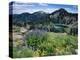 Wildflowers and Lake Catherine, Pioneer Peak, Uinta Wasatch Nf, Utah-Howie Garber-Premier Image Canvas