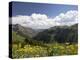 Wildflowers and Mountains Near Cinnamon Pass, Uncompahgre National Forest, Colorado-James Hager-Premier Image Canvas