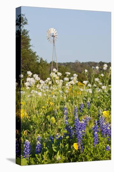 Wildflowers and Windmill in Texas Hill Country, Texas, USA-Larry Ditto-Premier Image Canvas