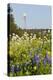 Wildflowers and Windmill in Texas Hill Country, Texas, USA-Larry Ditto-Premier Image Canvas