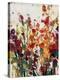 Wildflowers Blooming II-Tim OToole-Stretched Canvas