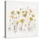 Wildflowers III Yellow-Lisa Audit-Stretched Canvas