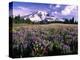 Wildflowers in Mt. Rainier National Park-Stuart Westmorland-Premier Image Canvas