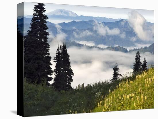 Wildflowers in the Tatoosh Wilderness, Washington Cascade Range, USA-Janis Miglavs-Premier Image Canvas