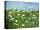 Wildflowers of Finland-Herb Dickinson-Premier Image Canvas
