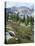 Wildflowers on Patterson Peak, Challis National Forest, Sawtooth Recreation Area, Idaho, USA-Scott T. Smith-Premier Image Canvas