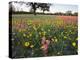 Wildflowers, Texas, USA-Larry Ditto-Premier Image Canvas