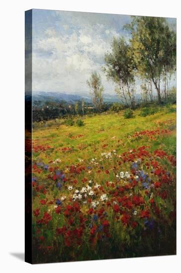 Wildflowers-Hulsey-Stretched Canvas