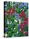 Wildflowers-Stuart Westmorland-Premier Image Canvas