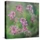 Wildflowers-Viviane Fedieu Daniel-Premier Image Canvas