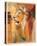 Wildlife Lion-Joadoor-Stretched Canvas