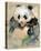 Wildlife Panda-Joadoor-Stretched Canvas