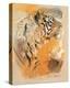 Wildlife Tiger-Joadoor-Stretched Canvas