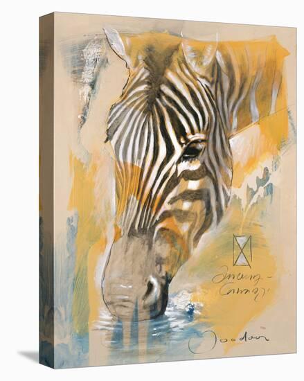 Wildlife Zebra-Joadoor-Stretched Canvas