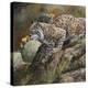 Wildlife-Wildlife Wildlife-Premier Image Canvas