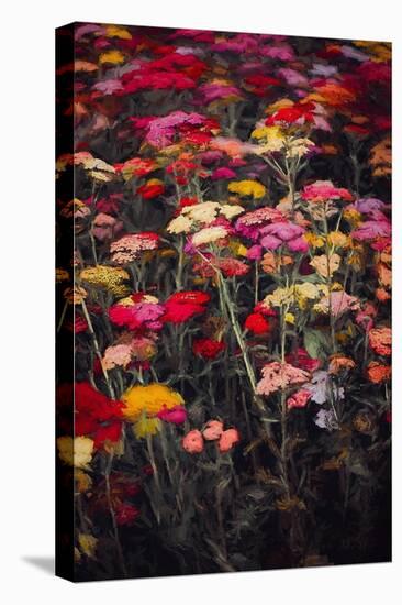 Wildly Colourful, 2018,-Helen White-Premier Image Canvas