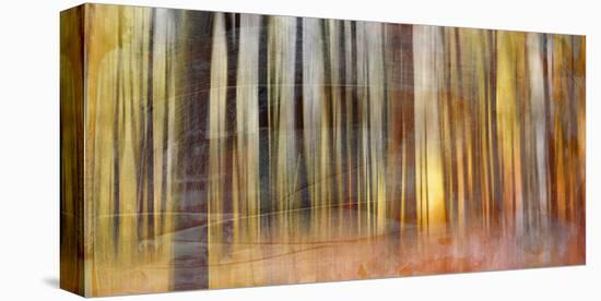 Wildwood V-Sven Pfrommer-Stretched Canvas