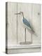 Willet-Arnie Fisk-Stretched Canvas