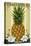 Williamsburg, Virginia - Colonial Pineapple-Lantern Press-Stretched Canvas