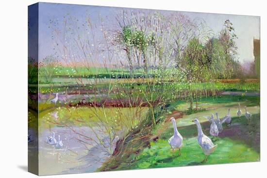 Willow and Geese, 1991-Timothy Easton-Premier Image Canvas