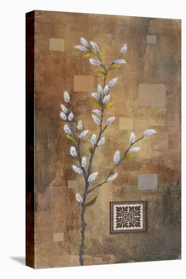 Willow Branch I-Michael Marcon-Stretched Canvas