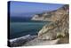 Willow Creek and Big Sur Coastline-Stuart-Premier Image Canvas