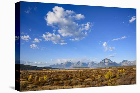 Willow Flats and Teton Range, Grand Tetons National Park, Wyoming, United States of America-Gary Cook-Premier Image Canvas