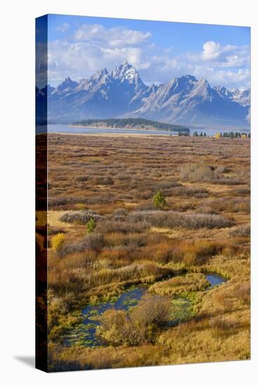 Willow Flats and Teton Range, Grand Tetons National Park, Wyoming, United States of America-Gary Cook-Premier Image Canvas